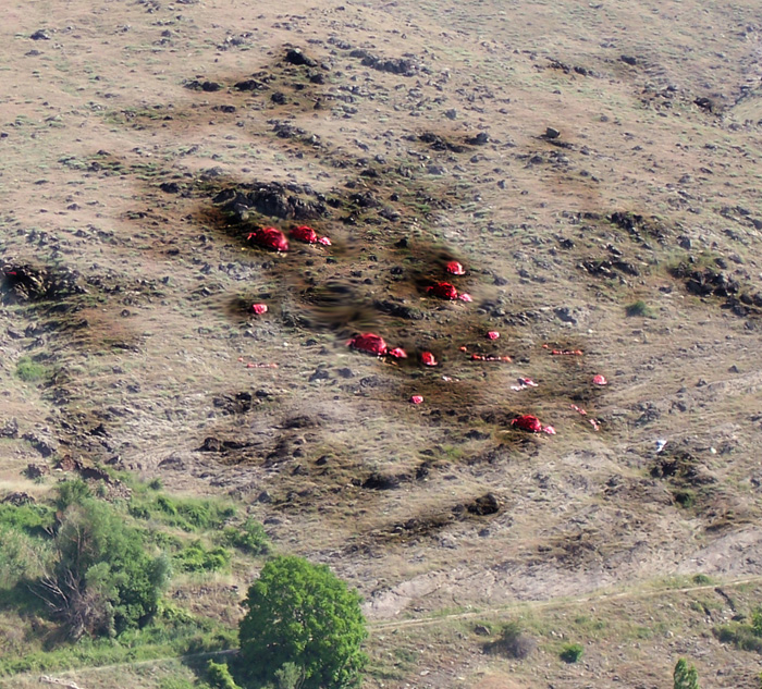 images/erga_spoudaston/gelos_small/gelos_metastasi (1).jpg